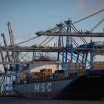 Chegam à China primeiras remessas brasileiras de DDGS