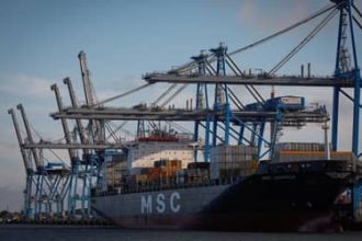 Chegam à China primeiras remessas brasileiras de DDGS