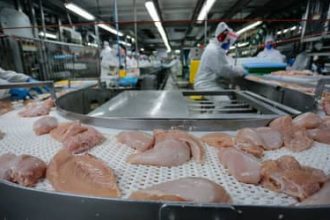 Conflito no Oriente Médio deve encarecer carnes de frango, suína e ovos