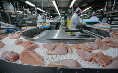 Conflito no Oriente Médio deve encarecer carnes de frango, suína e ovos
