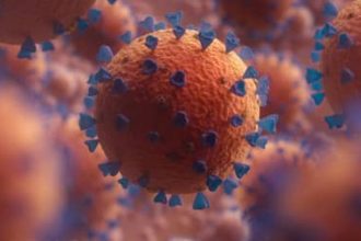 Covid-19: nova variante detectada em 23 países possui maior escape imunológico