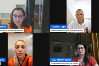 Defesa Civil Nacional aponta caminhos para fortalecer atendimento a animais em emergências
