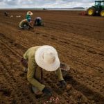 FPA articula para votar novas regras do Seguro Rural esta semana