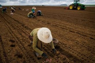 FPA articula para votar novas regras do Seguro Rural esta semana