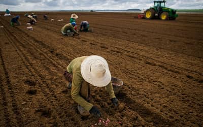 FPA articula para votar novas regras do Seguro Rural esta semana
