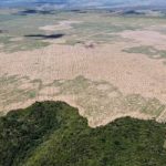 FPA pede adiamento das novas regras ambientais de financiamento no campo