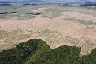 FPA pede adiamento das novas regras ambientais de financiamento no campo
