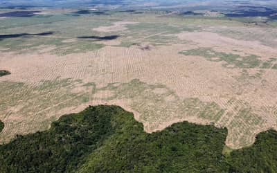 FPA pede adiamento das novas regras ambientais de financiamento no campo