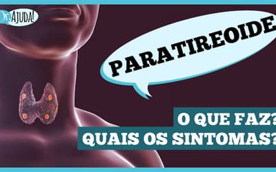 Glândulas paratireoides: pequenas, mas essenciais!