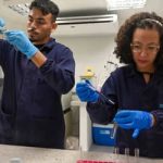 Inova Talentos abre 266 vagas com bolsas de até R$ 12 mil