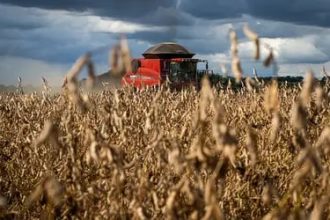 La Niña: fenômeno provoca perdas de até 50% na produtividade da soja no RS