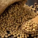 SOJA E TRIGO: confira os preços dos grãos nesta quarta-feira (29)