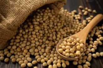 Soja e trigo começam a quinta-feira (23) com elevação nos preços