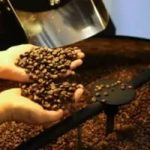 Café hoje: confira cotações para esta quarta-feira (13)