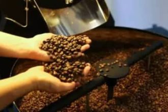 Café hoje: confira cotações para esta quarta-feira (13)