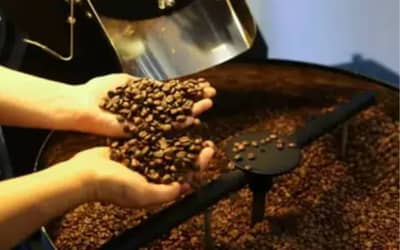 Café hoje: confira cotações para esta quarta-feira (13)