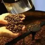 Café hoje: confira cotações para esta quinta-feira (14)