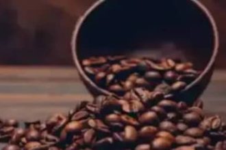 Café hoje: confira cotações para esta segunda-feira (11)