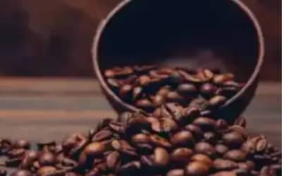 Café hoje: confira cotações para esta segunda-feira (11)