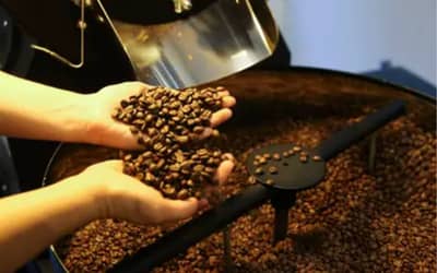 Café hoje: confira cotações para esta segunda-feira (18)