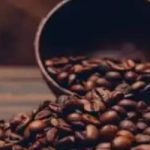 Café hoje: confira cotações para esta terça-feira (5)