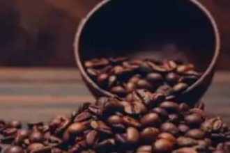 Café hoje: confira cotações para esta terça-feira (5)