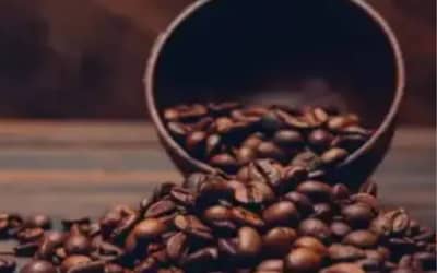 Café hoje: confira cotações para esta terça-feira (5)