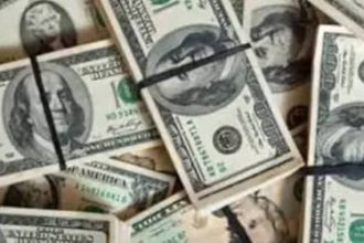 Dólar registra alta no último pregão, cotado a R$ 4,96