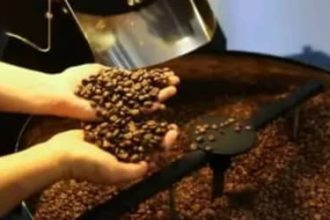 Título: Café hoje: confira cotações para esta sexta-feira (15)