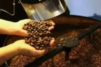 Café hoje: confira cotações para esta quinta-feira (11)