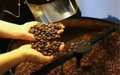 Café hoje: confira cotações para esta quinta-feira (11)
