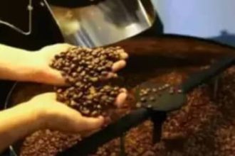 Café hoje: confira cotações para esta sexta-feira (12)