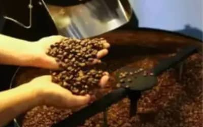 Café hoje: confira cotações para esta sexta-feira (12)