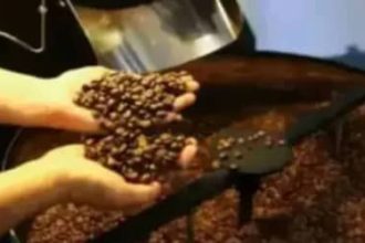 Café hoje: confira cotações para esta terça-feira (16)