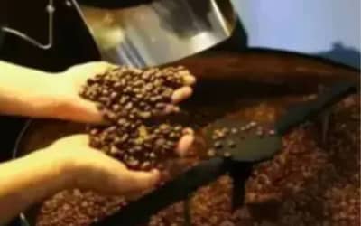 Café hoje: confira cotações para esta terça-feira (16)