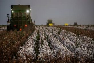 Câmara aprova reforma da política agrícola para revitalizar Seguro Rural