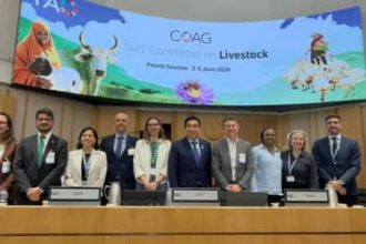 Estudo apresentado pela ApexBrasil na FAO projeta corte de até 92,6% nas emissões da pecuária