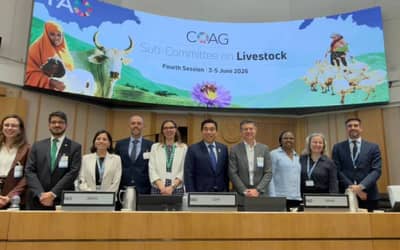 Estudo apresentado pela ApexBrasil na FAO projeta corte de até 92,6% nas emissões da pecuária
