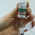 InfoGripe alerta para aumento das internações por VSR e influenza A e B