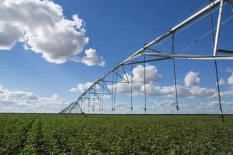 Parlamentares da região Sul defendem a ampliação do Seguro Rural como ferramenta de incentivo à produção de alimentos