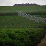 Setor produtivo e parlamentar paraenses esperam rapidez na aprovação da reforma do seguro rural