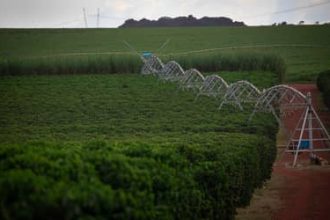 Setor produtivo e parlamentar paraenses esperam rapidez na aprovação da reforma do seguro rural