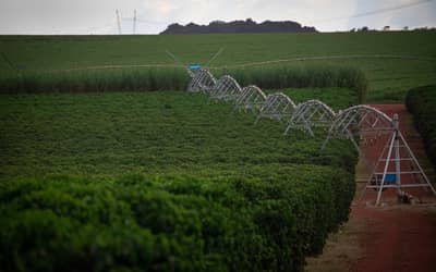 Setor produtivo e parlamentar paraenses esperam rapidez na aprovação da reforma do seguro rural
